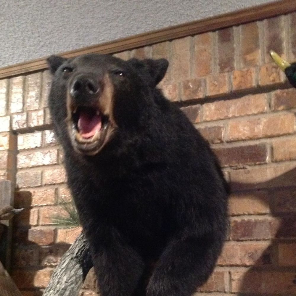 Meet your Posher, Marie